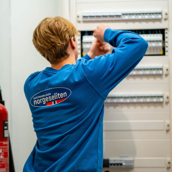 elsikkerhet-sikringsskap